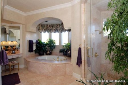 Glass Shower and Elegant Bathtub